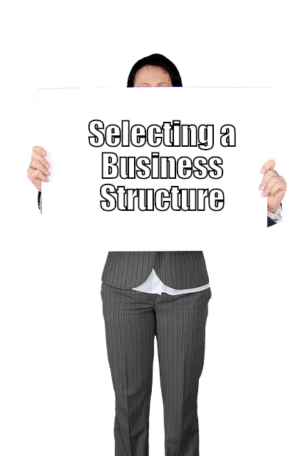 selecting a business structure