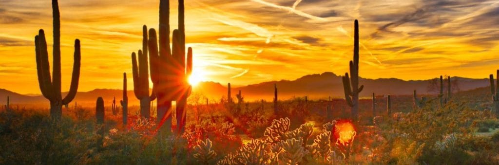 arizona registered agent