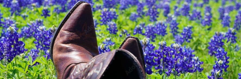texas registered agent