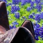 texas registered agent