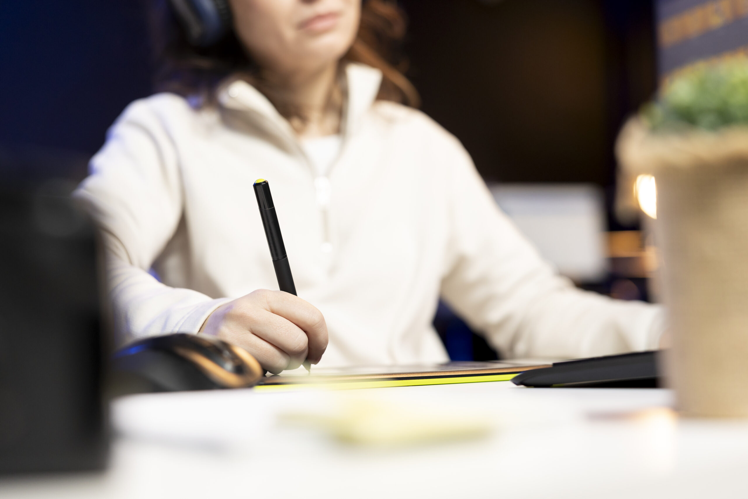 South Carolina LLC documents