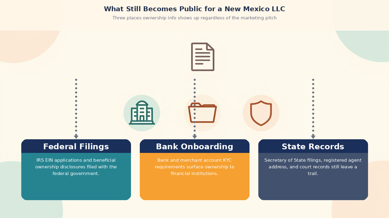 New Mexico anonymous LLC public surface infographic